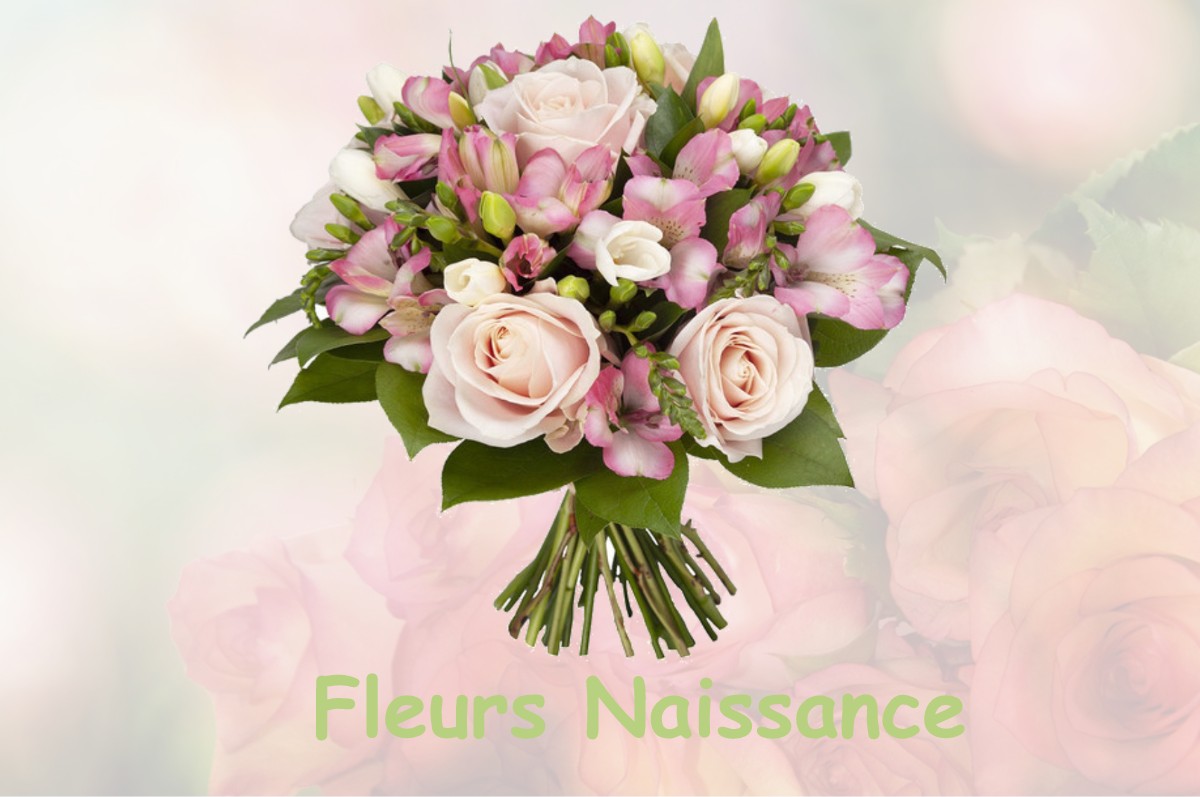 fleurs naissance NANTEUIL-SUR-MARNE